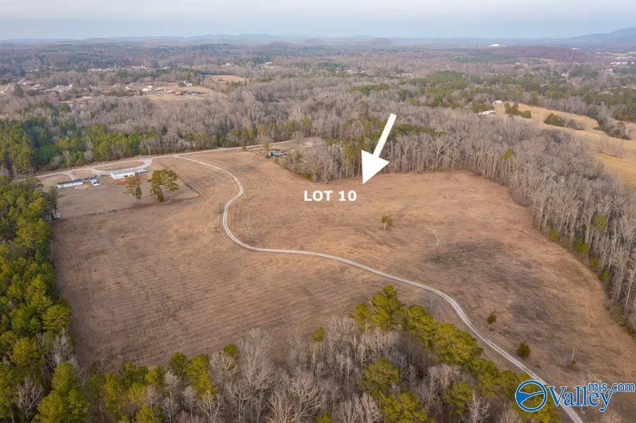 Lot 10 Cedar Springs Drive, Jacksonville, AL 36265 - Image #3