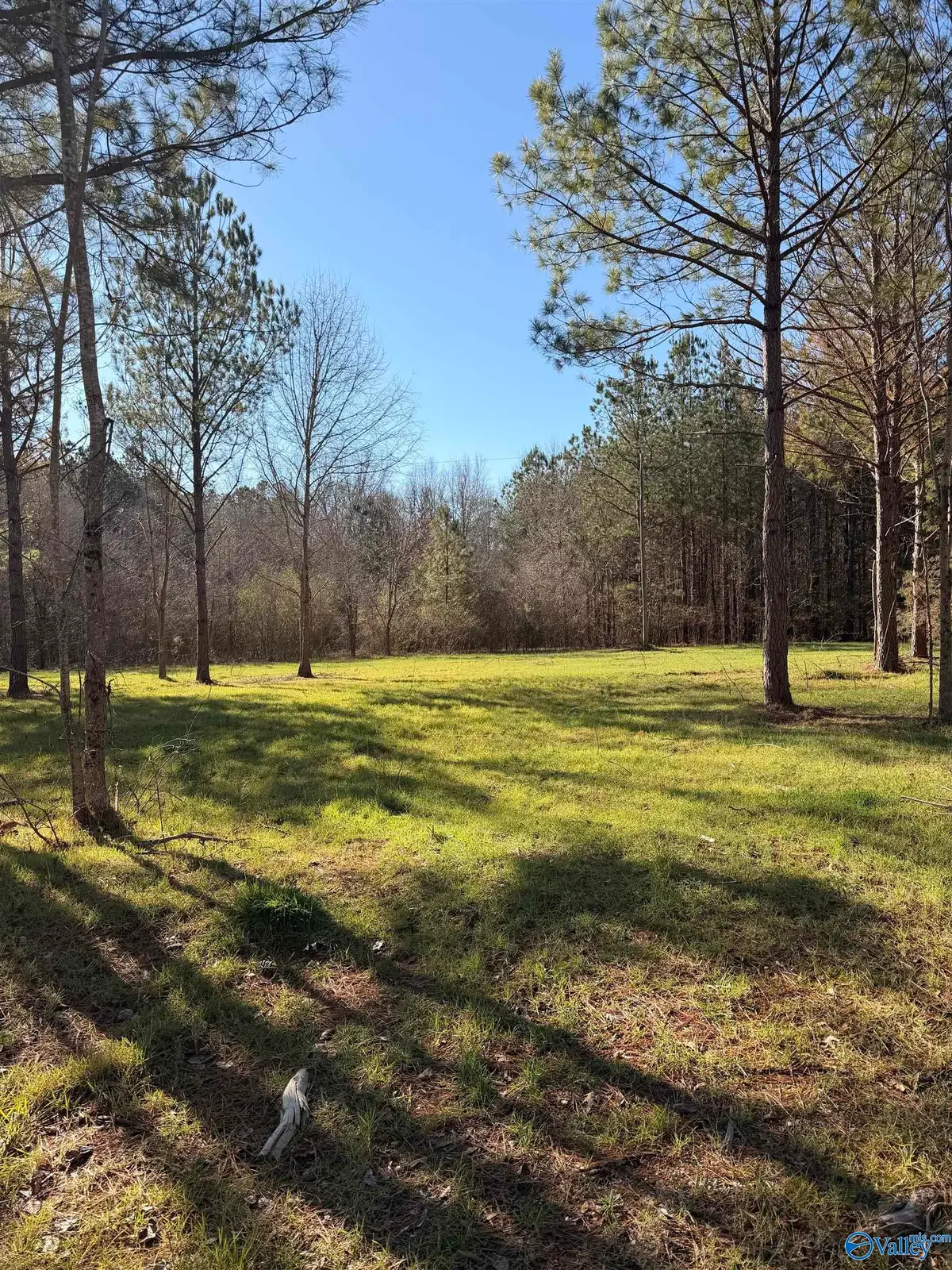 Lot 62A County Road 32, Piedmont, AL 36272 - Image #1