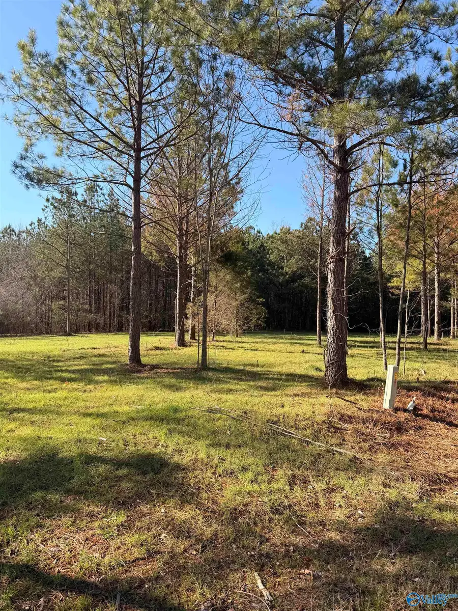 Lot 62A County Road 32, Piedmont, AL 36272 - Image #2