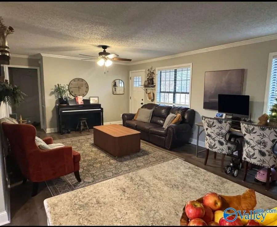 91 Gurley Circle, Section, AL 35771 - Image #3