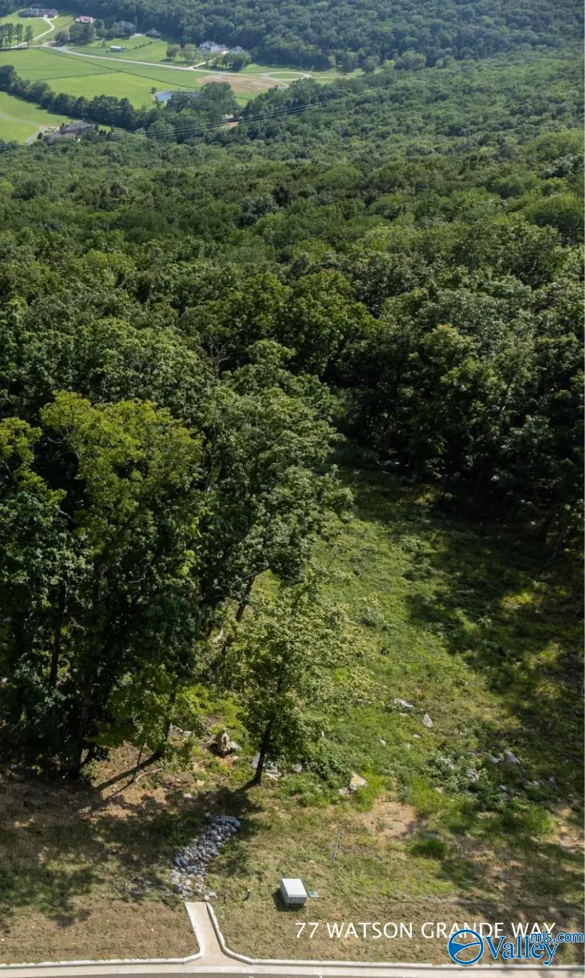 77 Watson Grande Way, Owens Cross Roads, AL 35763 - Image #1