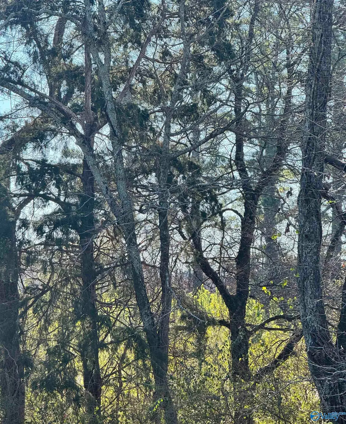 2 acres County Road 235, Gurley, AL 35757 - Image #1