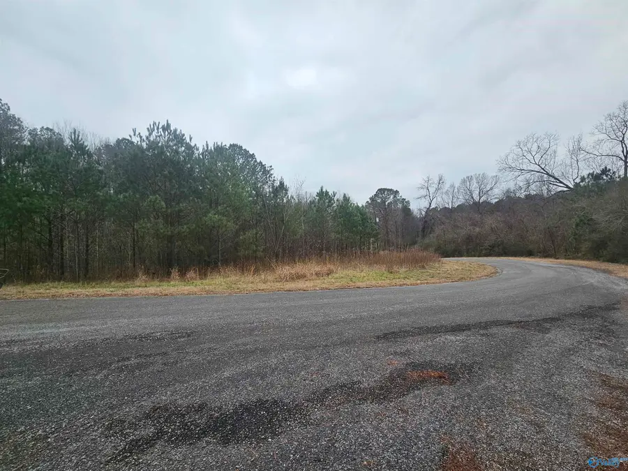 013 Toney Drive, Egypt, AL 36950 - Image #2