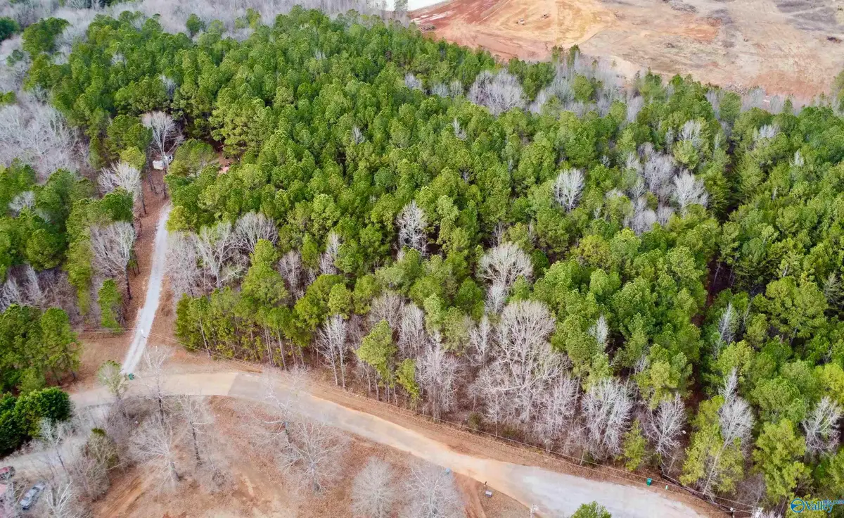 LOT 11 County Road 328, Piedmont, AL 36272 - Image #1