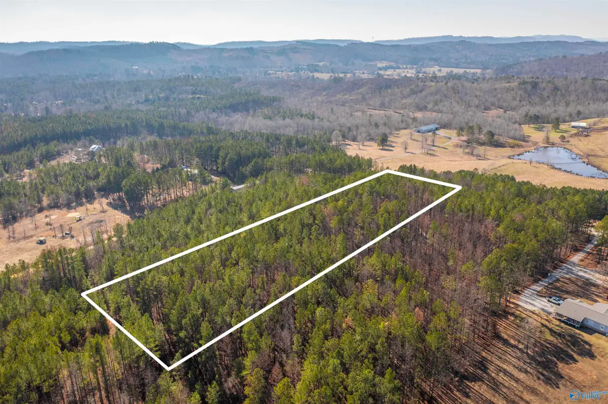 3.54 Tom Cat Road, Gadsden, AL 35903 - Image #1