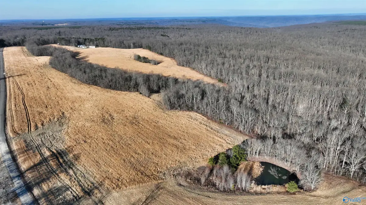 36.7 acre County Road 245, Scottsboro, AL 35768 - #1