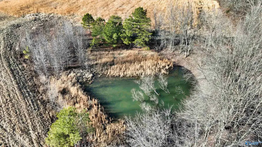 36.7 acre County Road 245, Scottsboro, AL 35768 - #2