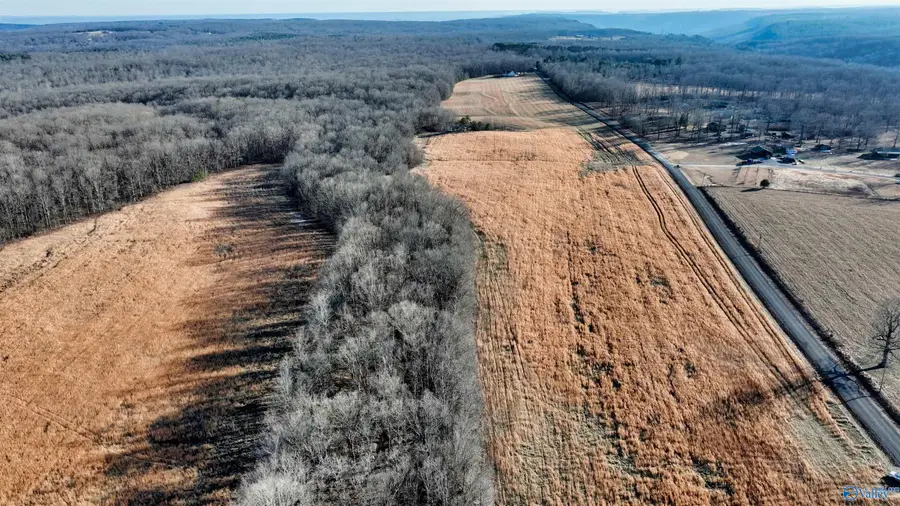 36.7 acre County Road 245, Scottsboro, AL 35768 - #3