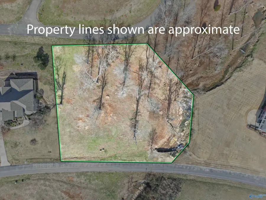 9115 Brigadoon Drive, Athens, AL 35611 - Image #3