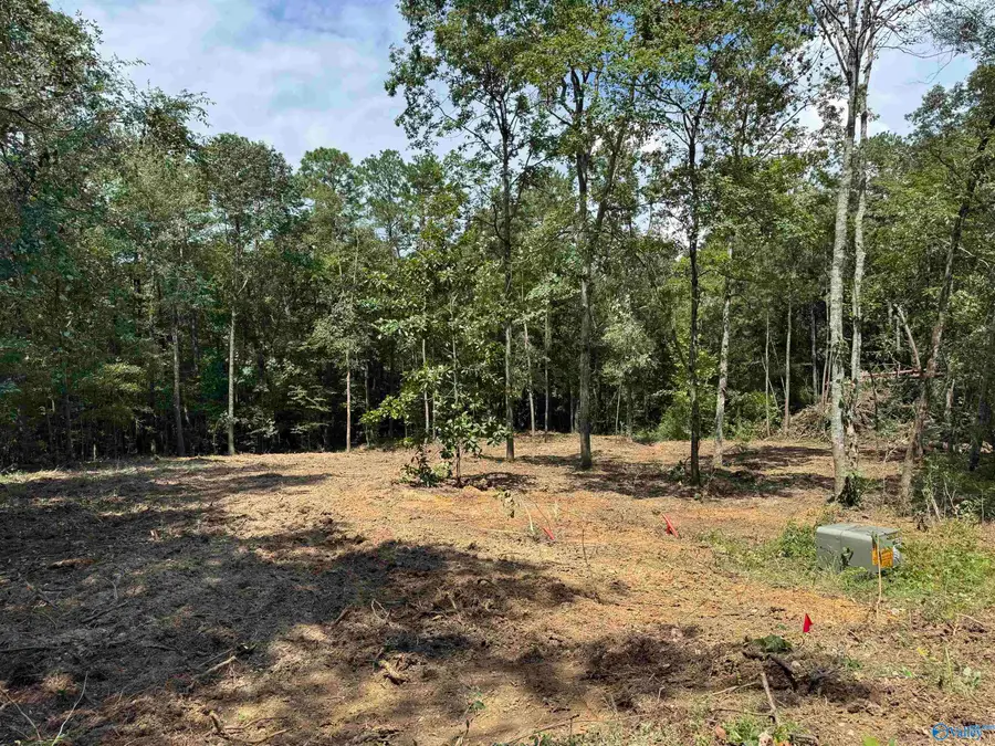 300 Hill Street, Centre, AL 35960 - #2