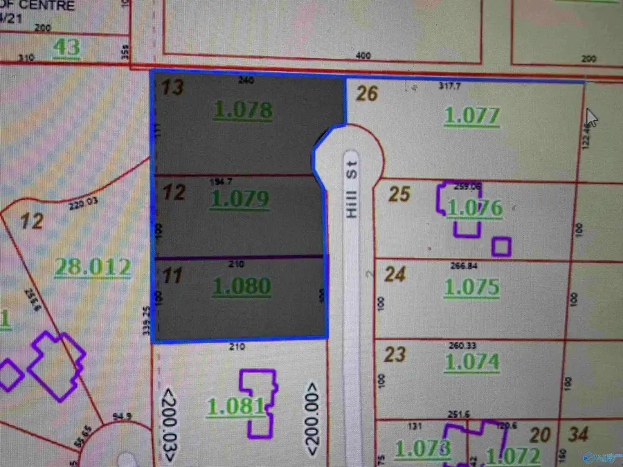 300 Hill Street, Centre, AL 35960 - #3