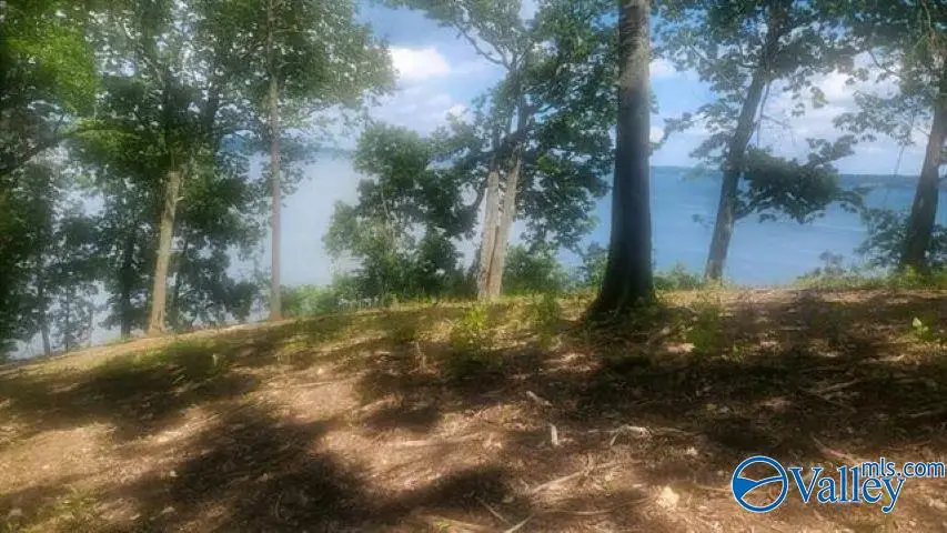 282 Highland Cove, Florence, AL 35630 - #3