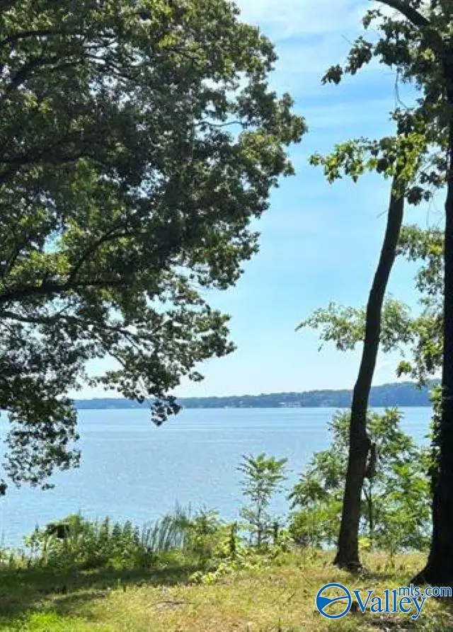 364 Highland Cove, Florence, AL 35630 - #2