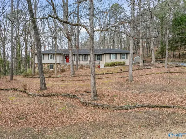 2806 Burningtree Mountain Road, Decatur, AL 35603