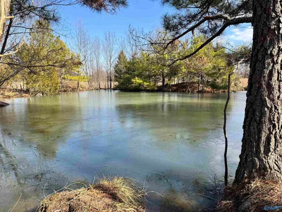 3051 Alabama Highway 157, Danville, AL 35619 - #3