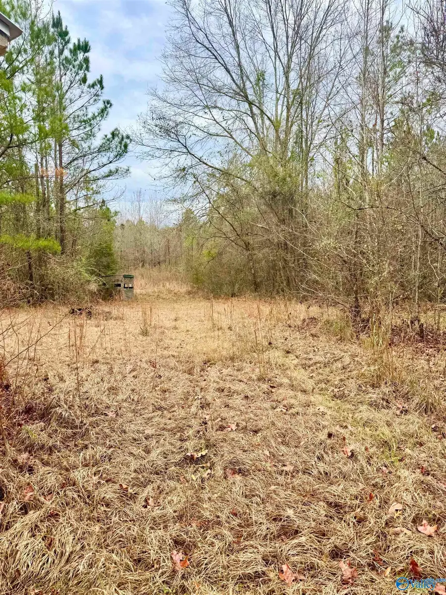 137 Spruce Road, Butler, AL 36904 - #3