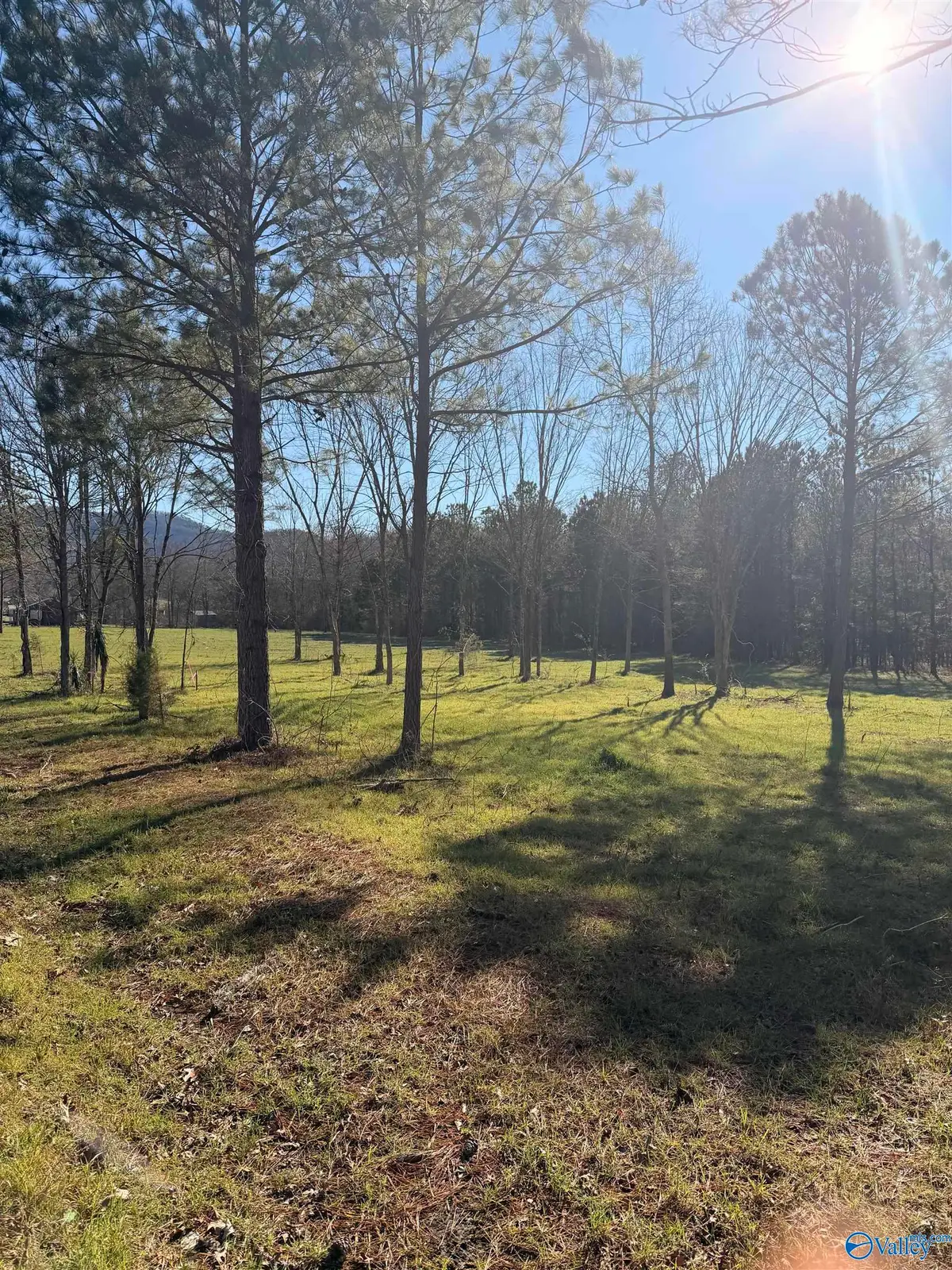 lot 62B County Road 32, Piedmont, AL 36272 - #1