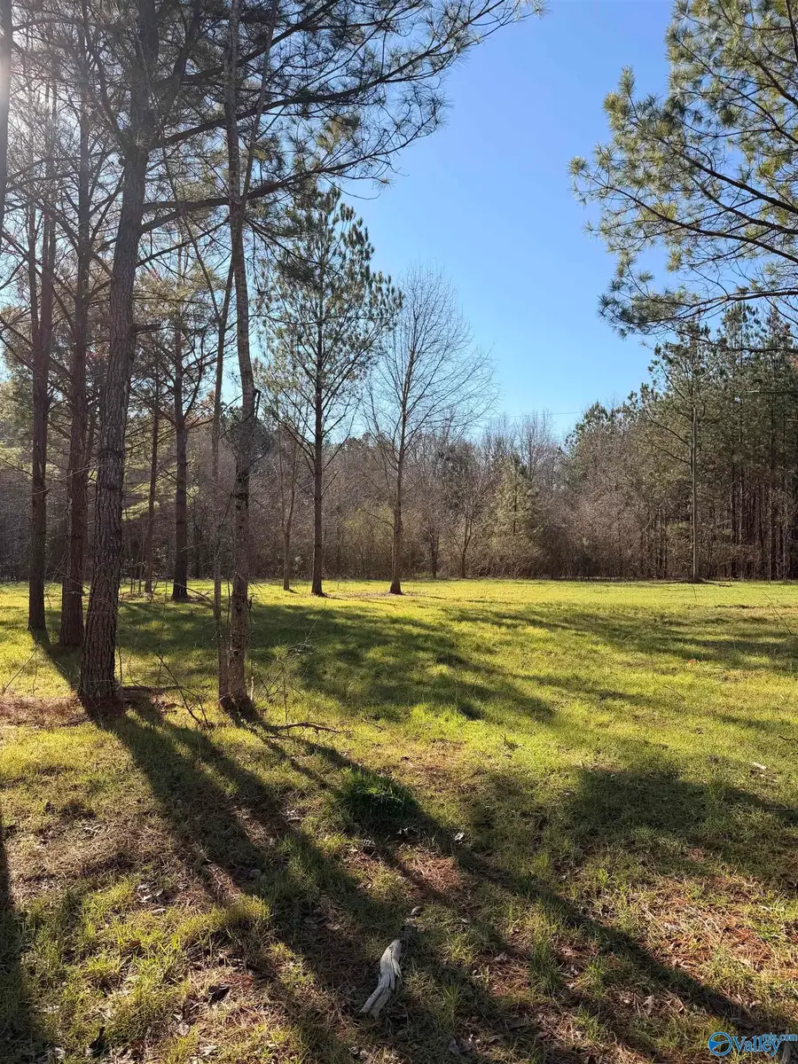 lot 62B County Road 32, Piedmont, AL 36272 - #2