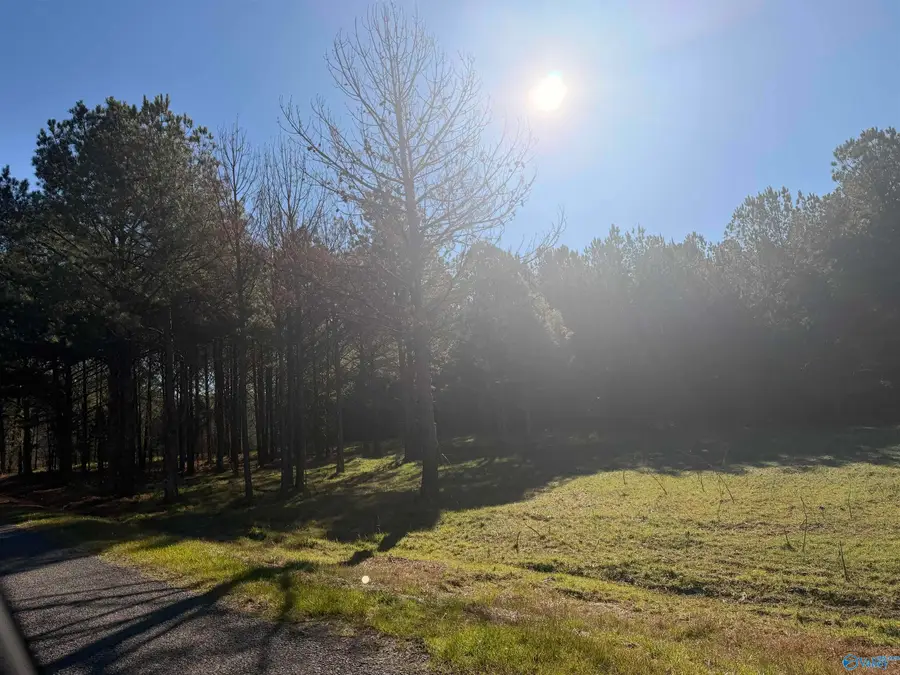 lot 62B County Road 32, Piedmont, AL 36272 - #3