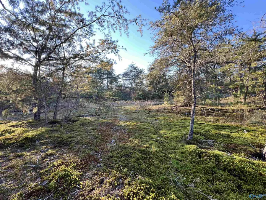 3 AC County Road 52, Cedar Bluff, AL 35959 - #3