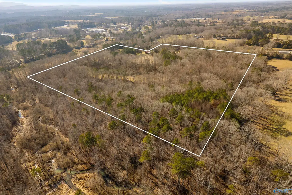 Address Withheld By Seller, Somerville, AL 35670 - Image #1