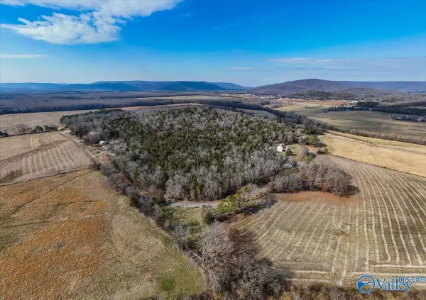 2.44 Acres-Lot2 County Road 214, Woodville, AL 35747