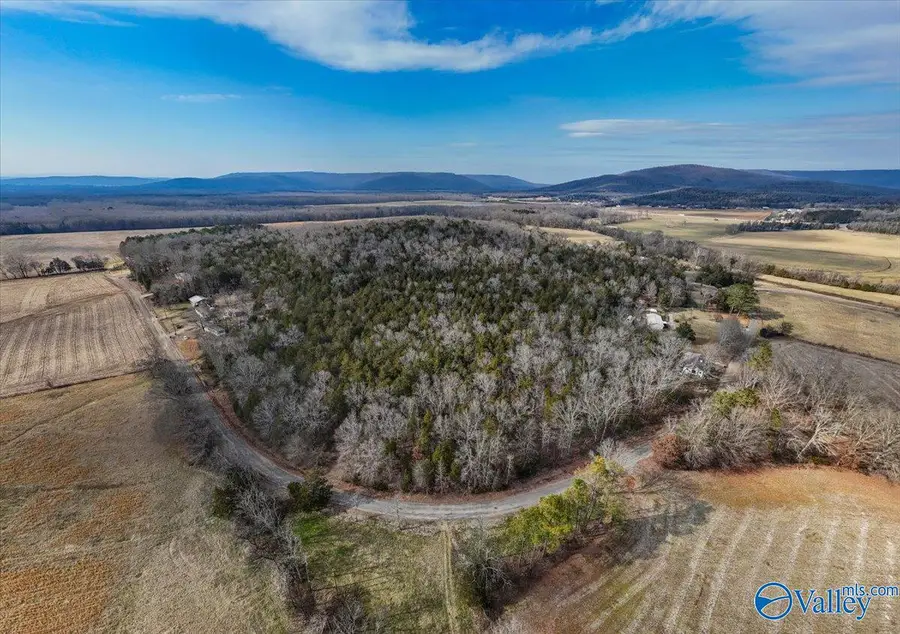 2.44 Acres-Lot2 County Road 214, Woodville, AL 35747 - #2