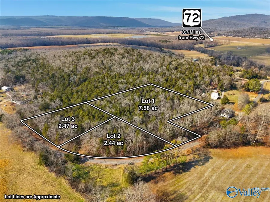 2.47 Acres-Lot3 County Road 214, Woodville, AL 35747 - #3