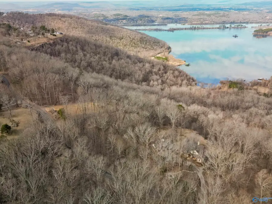 Lot 7 County Road 224, Dutton, AL 35744 - #3