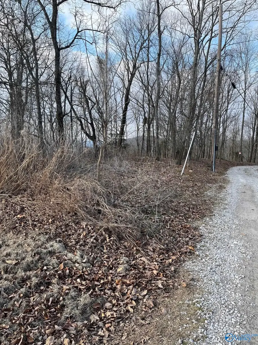 151 Ledge View Drive, Huntsville, AL 35802 - #3