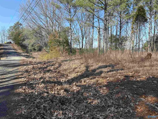 Lots 2&3 Savory Drive, Scottsboro, AL 35769