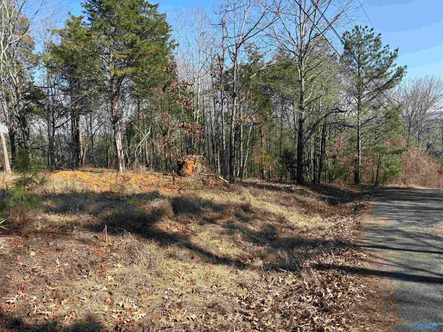 Lots 2&3 Savory Drive, Scottsboro, AL 35769 - #2