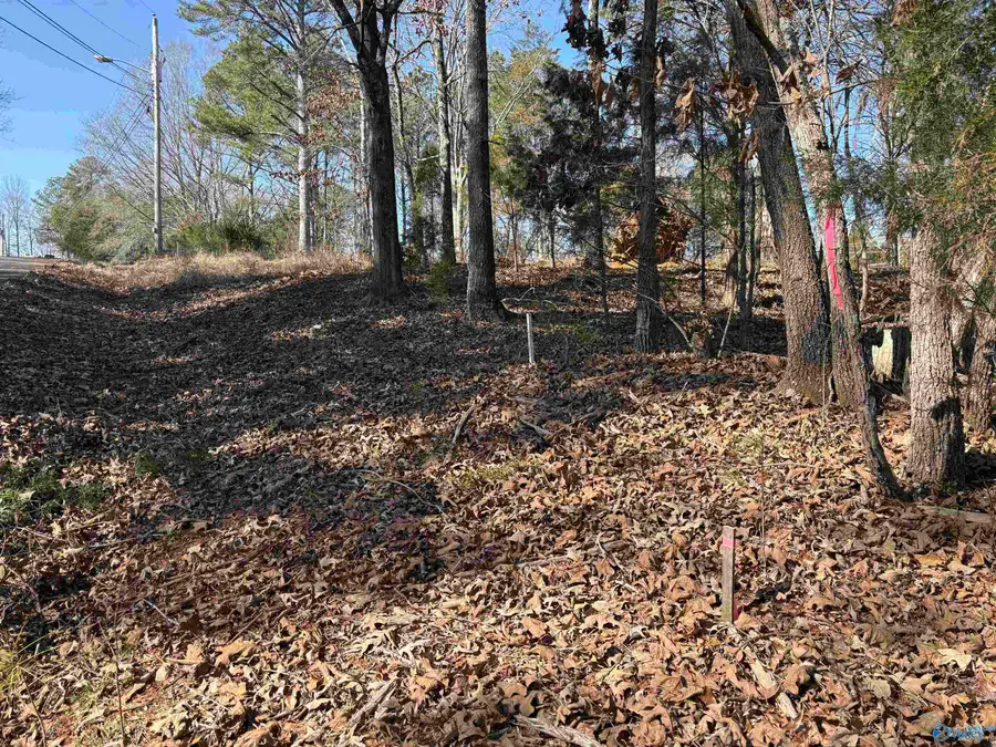 Lots 2&3 Savory Drive, Scottsboro, AL 35769 - #3