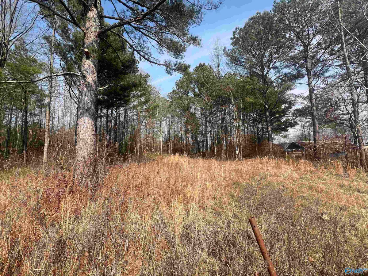 LOT 128 Spring Creek Campground, Centre, AL 35960 - #1
