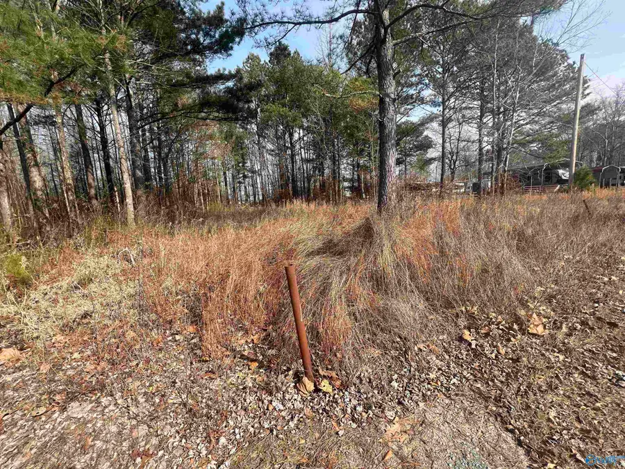 LOT 128 Spring Creek Campground, Centre, AL 35960 - #2