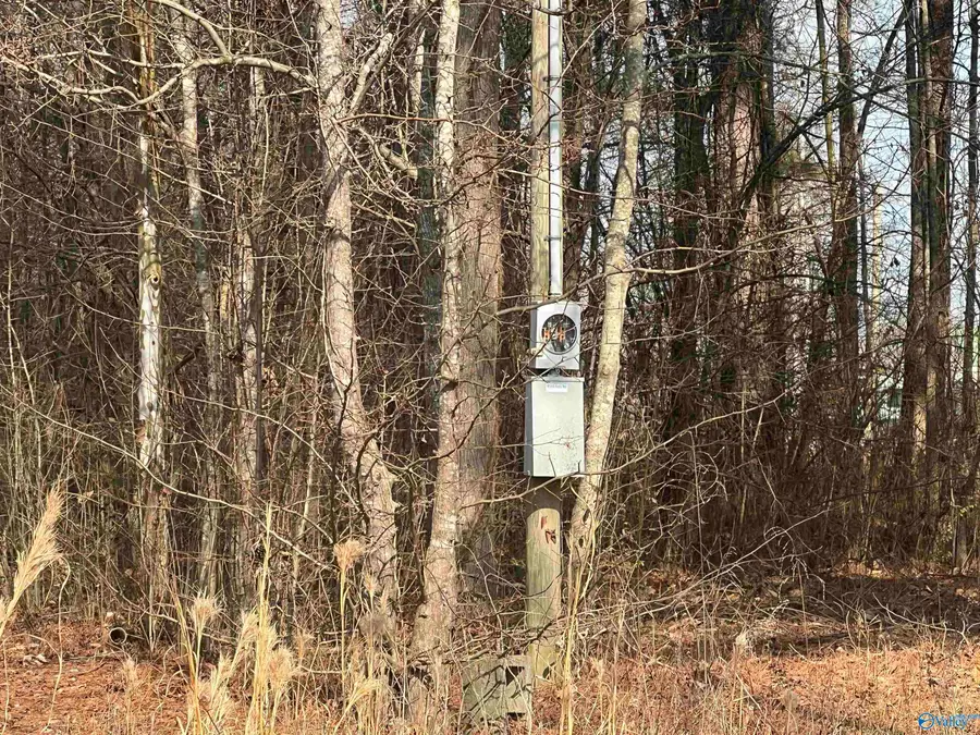 LOT 128 Spring Creek Campground, Centre, AL 35960 - #3