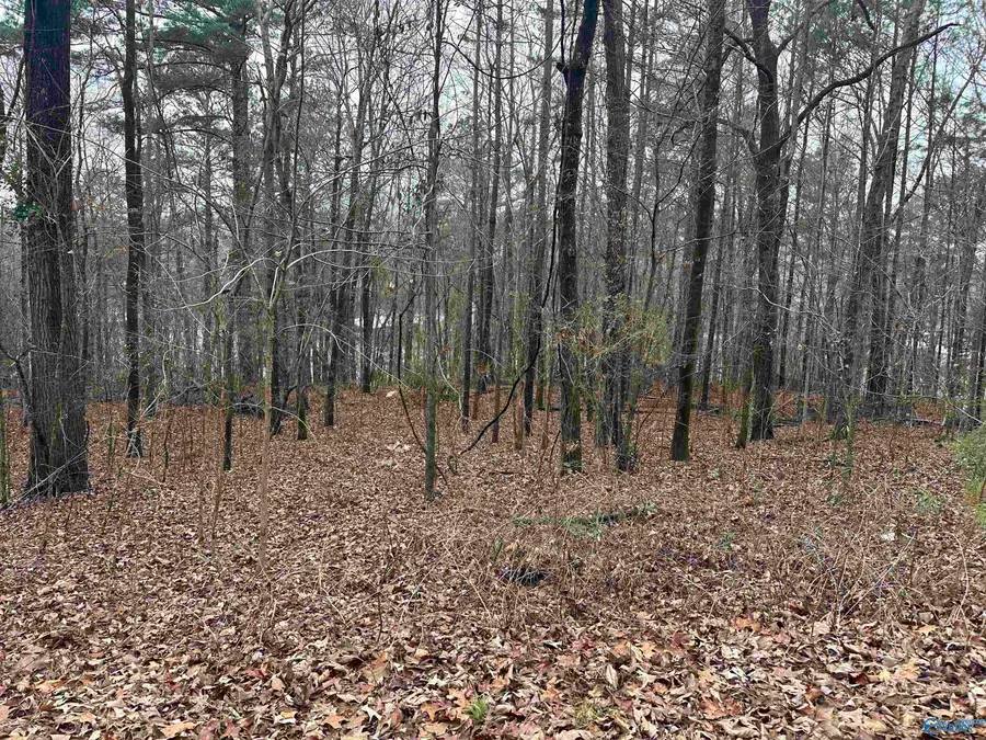 0.62 Riddles Bend Road, Rainbow City, AL 35906 - #2