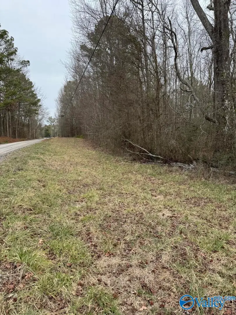 14 Hopper Road, Altoona, AL 35952 - #2