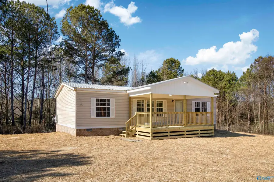 59 Tanner Road, Horton, AL 35980 - #2