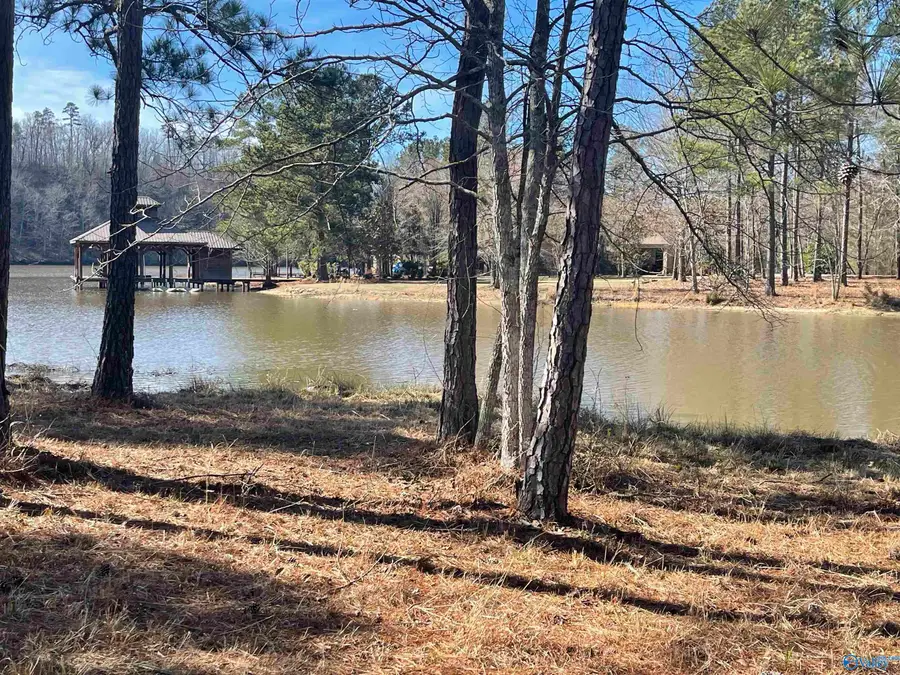 89 Golden Pond Road, Ashville, AL 35953 - #2
