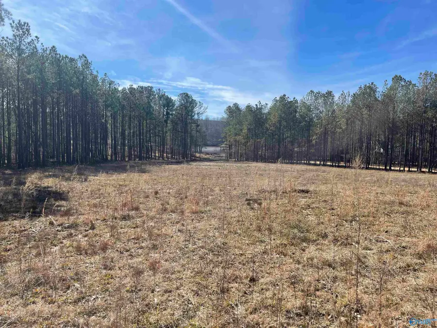 89 Golden Pond Road, Ashville, AL 35953 - #3