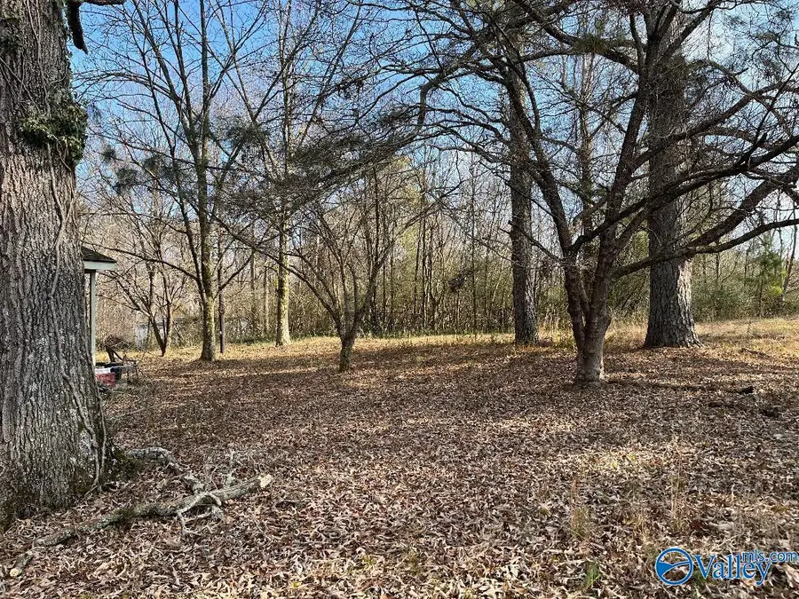 223 Moore Street, Madison, AL 35757 - Image #3