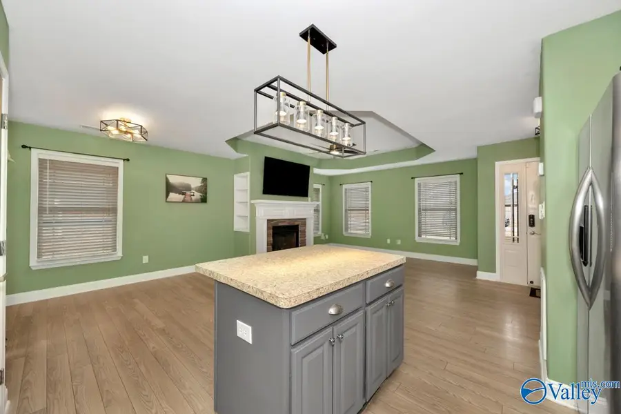 244 Village Springs Drive, Madison, AL 35756 - #3