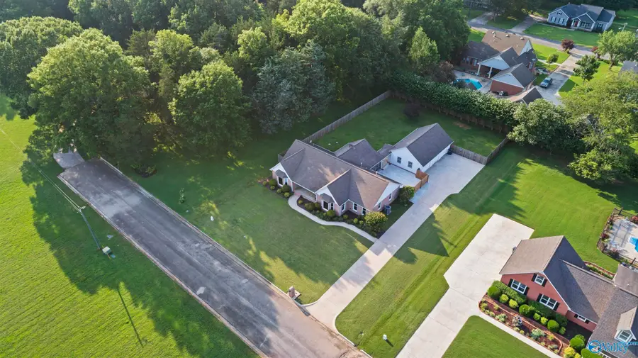 197 Terry Lane, Trinity, AL 35673 - #2