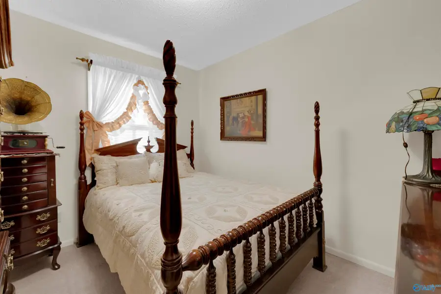 299 Joe Hope Drive N, Geraldine, AL 35962 - #2