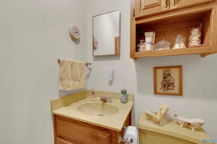 299 Joe Hope Drive N, Geraldine, AL 35962 - #3