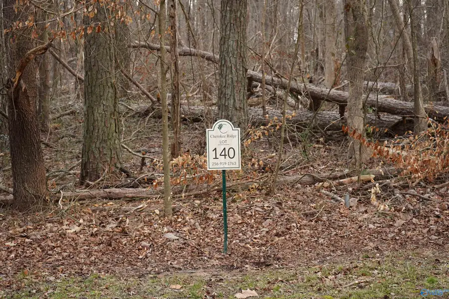 Lot 140 Emerald Point, Cherokee Ridge, AL 35175 - Image #3