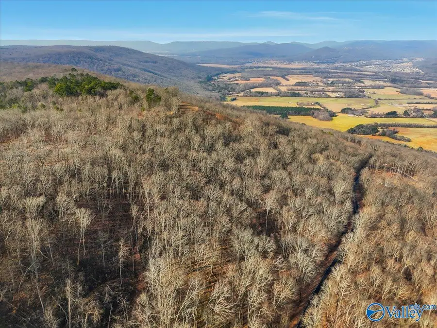 2.9 acres Keel Mountain Road, Gurley, AL 35748 - #3