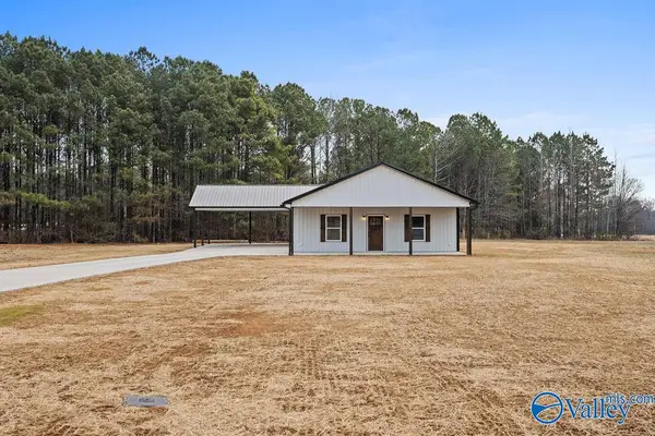 223 Morgan Lane, Section, AL 35771