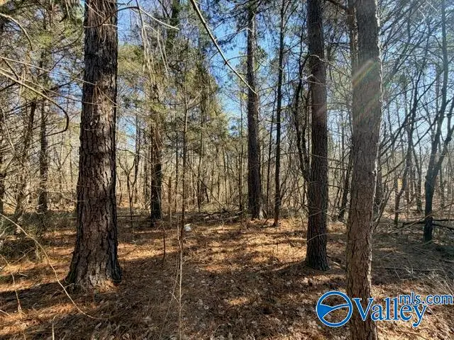 3.970 Flanagan Road, Athens, AL 35614 - #2